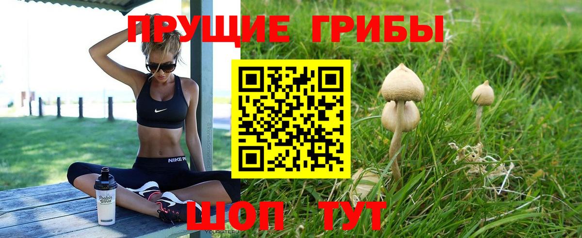 Псилоцибиновые грибы прущие грибы Первоуральск