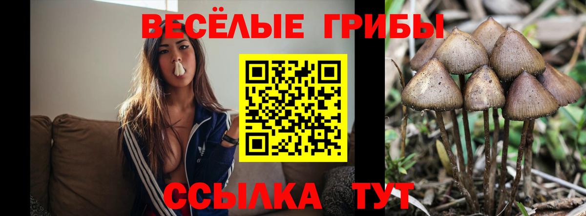 Псилоцибиновые грибы MAGIC MUSHROOMS  Галлюциногенные грибы GOLDEN TEACHER  Вход с VPN  Первоуральск 